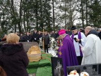 image?view=image&format=raw&type=orig&id=738