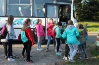 image?view=image&format=raw&type=orig&id=444