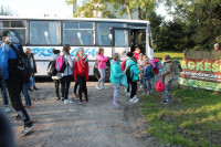 image?view=image&format=raw&type=orig&id=443