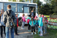 image?view=image&format=raw&type=orig&id=445