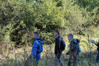 image?view=image&format=raw&type=orig&id=451