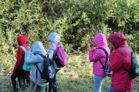 image?view=image&format=raw&type=orig&id=450