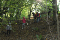 image?view=image&format=raw&type=orig&id=458