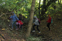 image?view=image&format=raw&type=orig&id=457