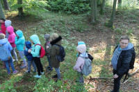 image?view=image&format=raw&type=orig&id=463