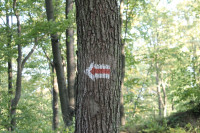 image?view=image&format=raw&type=orig&id=465