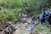 image?view=image&format=raw&type=orig&id=467