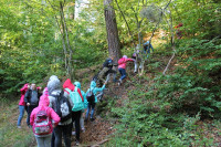 image?view=image&format=raw&type=orig&id=469