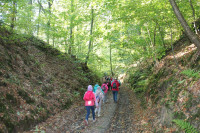 image?view=image&format=raw&type=orig&id=471