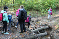 image?view=image&format=raw&type=orig&id=474