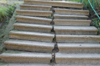 image?view=image&format=raw&type=orig&id=479