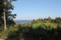 image?view=image&format=raw&type=orig&id=481