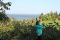 image?view=image&format=raw&type=orig&id=483