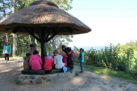 image?view=image&format=raw&type=orig&id=485