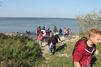 image?view=image&format=raw&type=orig&id=494