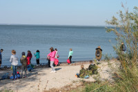 image?view=image&format=raw&type=orig&id=496