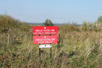 image?view=image&format=raw&type=orig&id=498