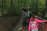 image?view=image&format=raw&type=orig&id=511