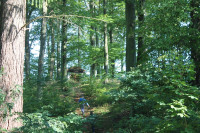 image?view=image&format=raw&type=orig&id=545