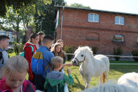 image?view=image&format=raw&type=orig&id=550