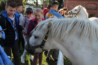 image?view=image&format=raw&type=orig&id=549
