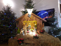 image?view=image&format=raw&type=orig&id=689