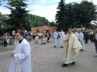 image?view=image&format=raw&type=orig&id=289