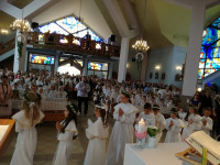 image?view=image&format=raw&type=orig&id=238