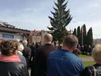 image?view=image&format=raw&type=orig&id=36