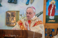 image?view=image&format=raw&type=orig&id=983