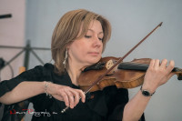 image?view=image&format=raw&type=orig&id=1013