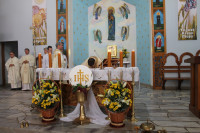 image?view=image&format=raw&type=orig&id=769