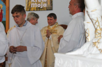 image?view=image&format=raw&type=orig&id=784