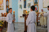 image?view=image&format=raw&type=orig&id=787