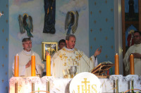 image?view=image&format=raw&type=orig&id=806