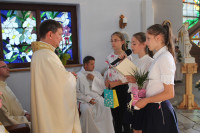 image?view=image&format=raw&type=orig&id=817