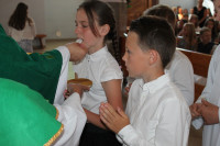 image?view=image&format=raw&type=orig&id=910